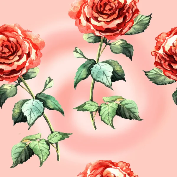 Piękna akwarela bezszwowe z różami — Zdjęcie stockowe