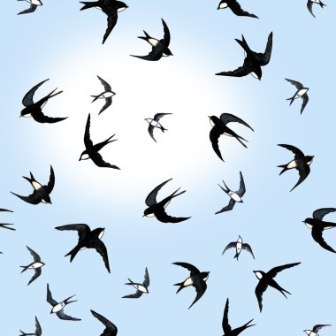 Pattern with swallows clipart