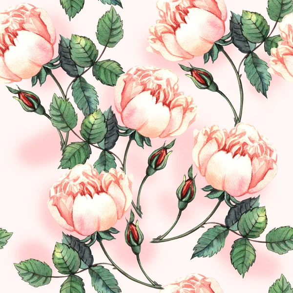 Patroon met rozen — Stockfoto