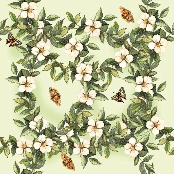 Watercolor pattern with flowers and butterflies hips — Stock Photo, Image