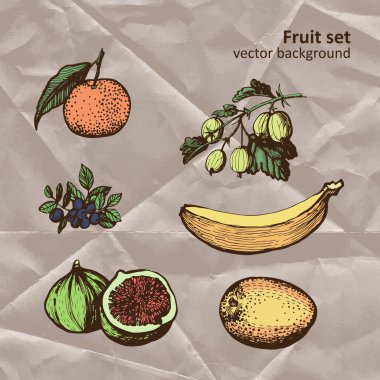 meyve renk grafik seti