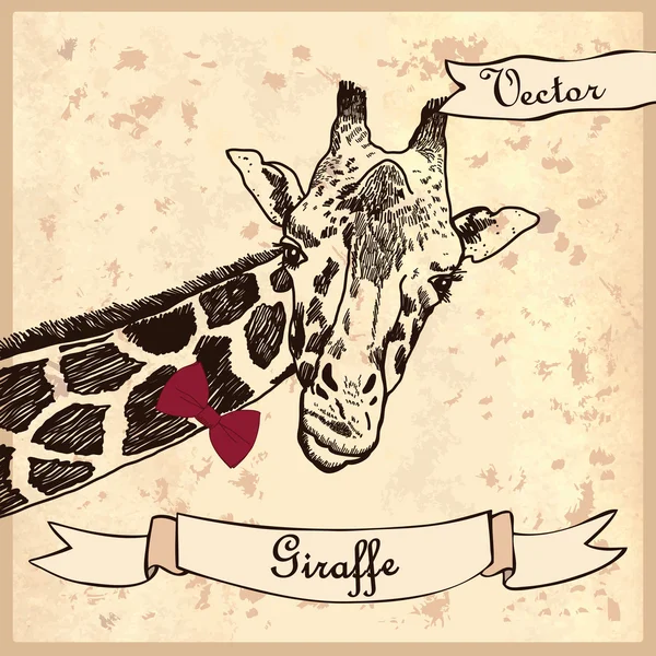 Giraffe illustratie — Stockvector