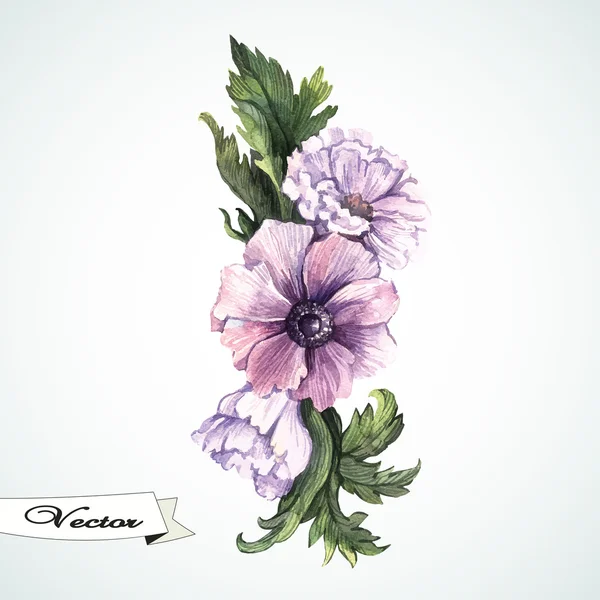 Akvarell anemoner — Stock vektor