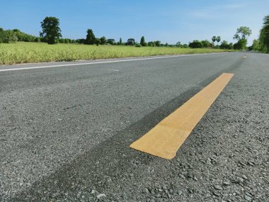 Thailan 'da asfalt yollar ve pirinç tarlaları