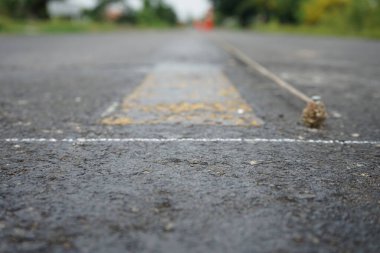 Bulanık görüntü, asfalt yolda sarı trafik çizgisi