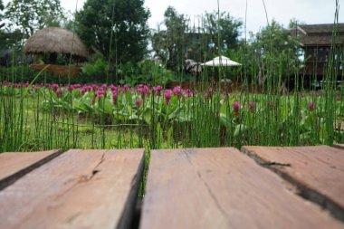 Ön bahçedeki ahşap koridorun bulanık görüntüsü.