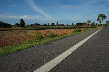 Asfalt yolun bulanıklığı 