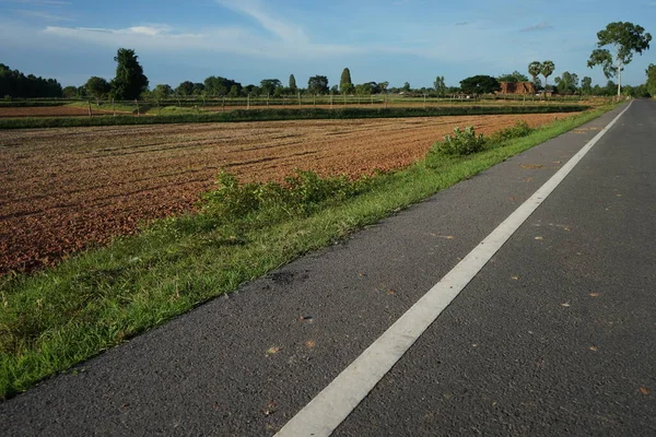 Asfalt yolun bulanıklığı 