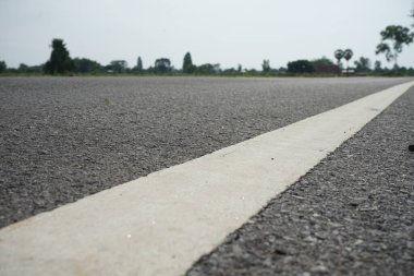 Beyaz trafik hatları ve okaliptüs ağaçları..