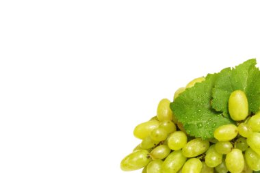 Yapraklı yeşil üzüm. Beyazda izole edilmiş