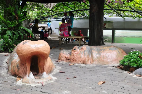 タイのデュシット動物園の水の中のカバ — ストック写真