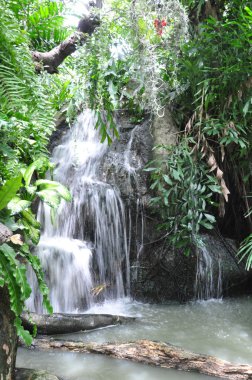 bir Tayland güzel şelale