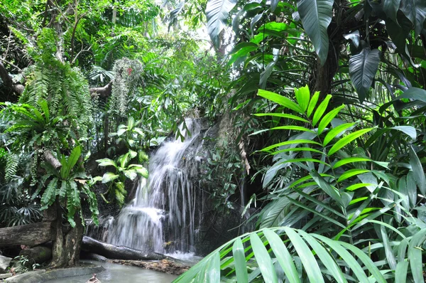 Prachtige waterval in een thailand Stockafbeelding