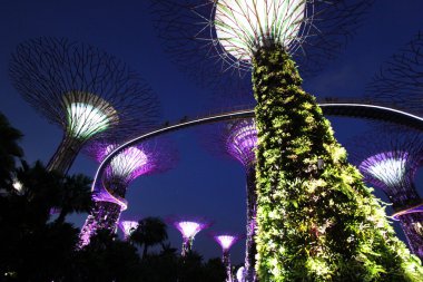 Singapur Körfezi 'ndeki Bahçeler