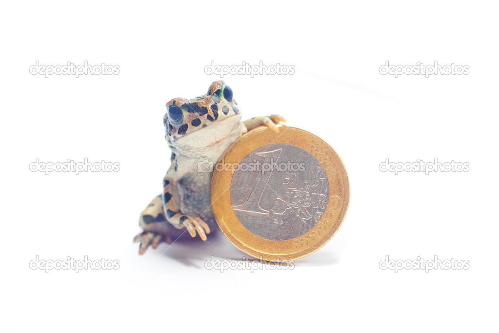SCARICARE RANA PAZZA DA
