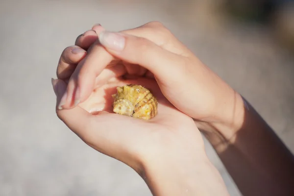 Hermit crab crawling on hand — Stock Photo, Image