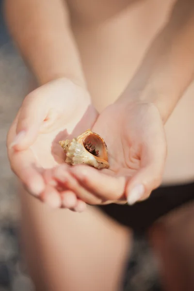 Hermit crab crawling on hand — Stock Photo, Image