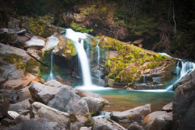 Karpatlar derin orman şelale