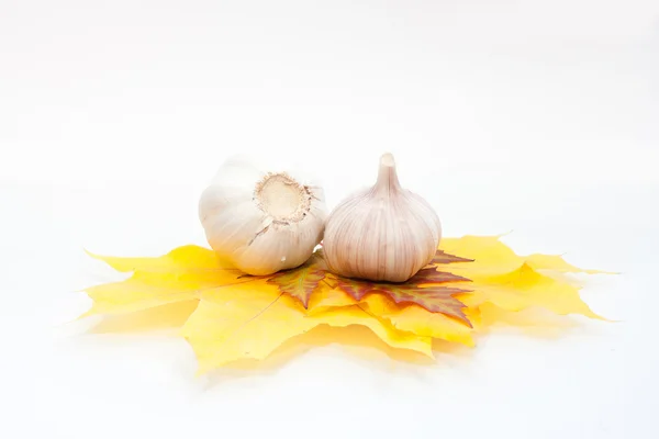 Lampadina di aglio isolata su bianco — Foto Stock