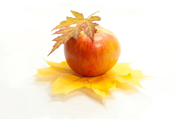 Outono maçã e folhas isoladas — Fotografia de Stock