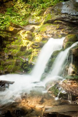 Karpatlar derin orman şelale