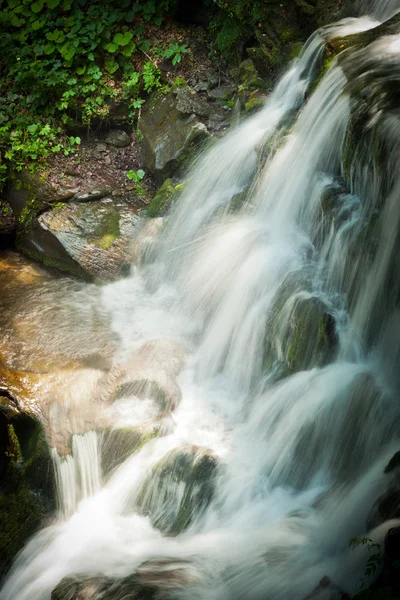 Tiefer Waldwasserfall in den Karpaten — Stockfoto