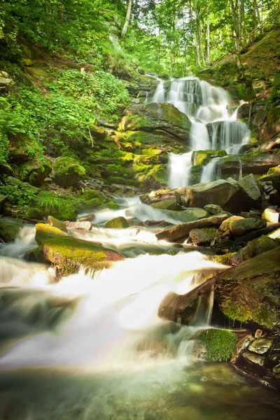 Djupa skogen vattenfall i Karpaterna — Stockfoto