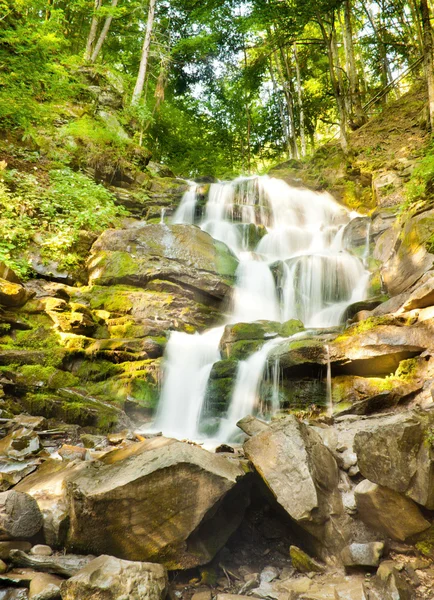 Cascada del bosque profundo en los Cárpatos —  Fotos de Stock