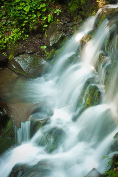 Diepe woud waterval in de Karpaten — Stockfoto