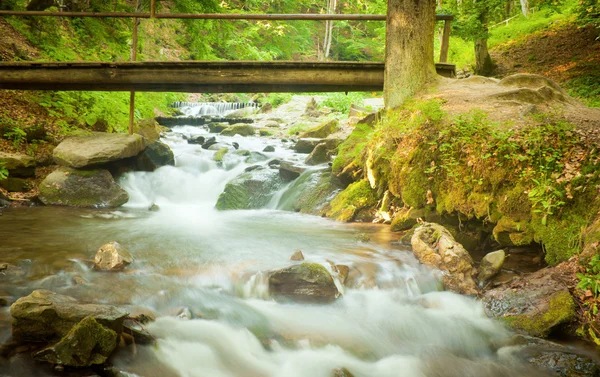 Tiefer Waldwasserfall in den Karpaten — Stockfoto