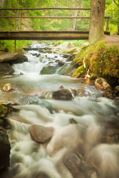 Tiefer Waldwasserfall in den Karpaten — Stockfoto