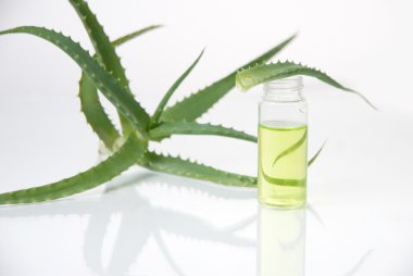 tüp izole mavi sıvı ile