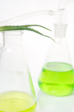 bitki özü. doğal Kimya.
