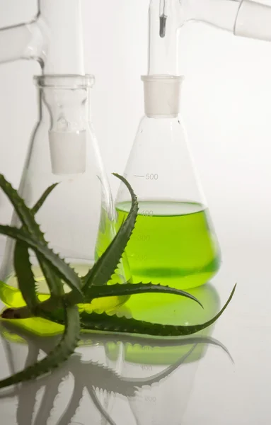 Test-tube with blue liquid isolated — Stock Photo, Image