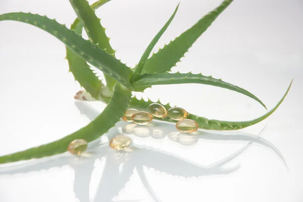 Aloe vera planta med piller - örtmedicin — Stockfoto