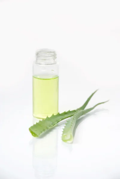 Extract van planten. natuurlijke chemie. — Stockfoto