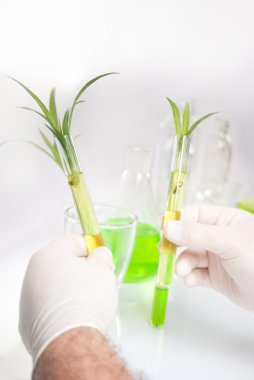 tüp izole mavi sıvı ile