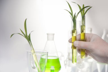 tüp izole mavi sıvı ile