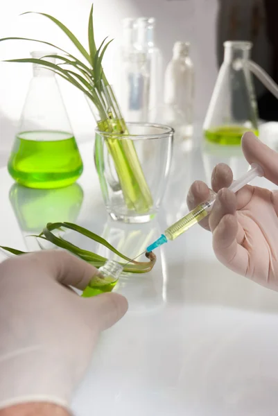 Test-tube with blue liquid isolated — Stock Photo, Image