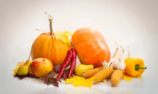 Vackra höstens skörd och blad — Stockfoto