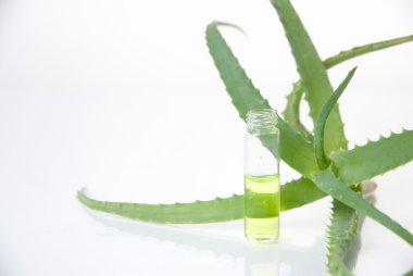 tüp izole mavi sıvı ile