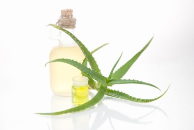 tüp izole mavi sıvı ile