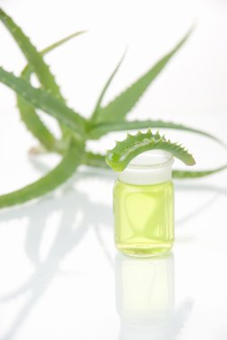 tüp izole mavi sıvı ile