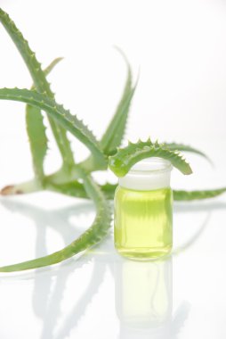 tüp izole mavi sıvı ile