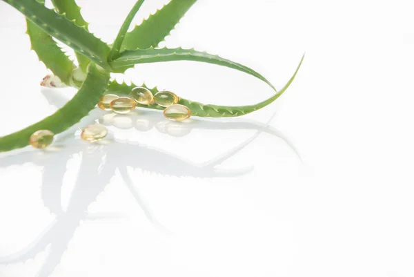 Aloe vera planta med piller - örtmedicin — Stockfoto