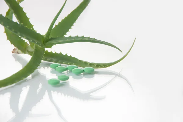 Aloe vera planta med piller - örtmedicin — Stockfoto