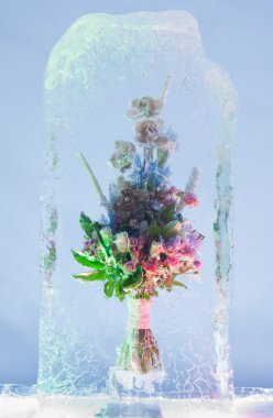 buzlu kompozisyon parlak grup