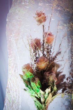 buzlu kompozisyon parlak grup