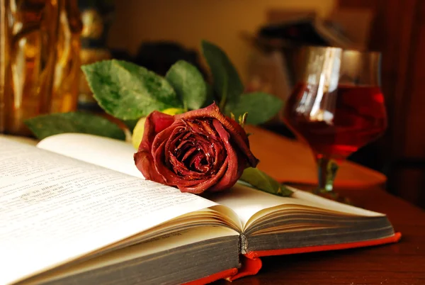 Image de roses sur le livre — Photo