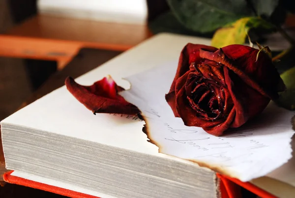 Image of roses on book